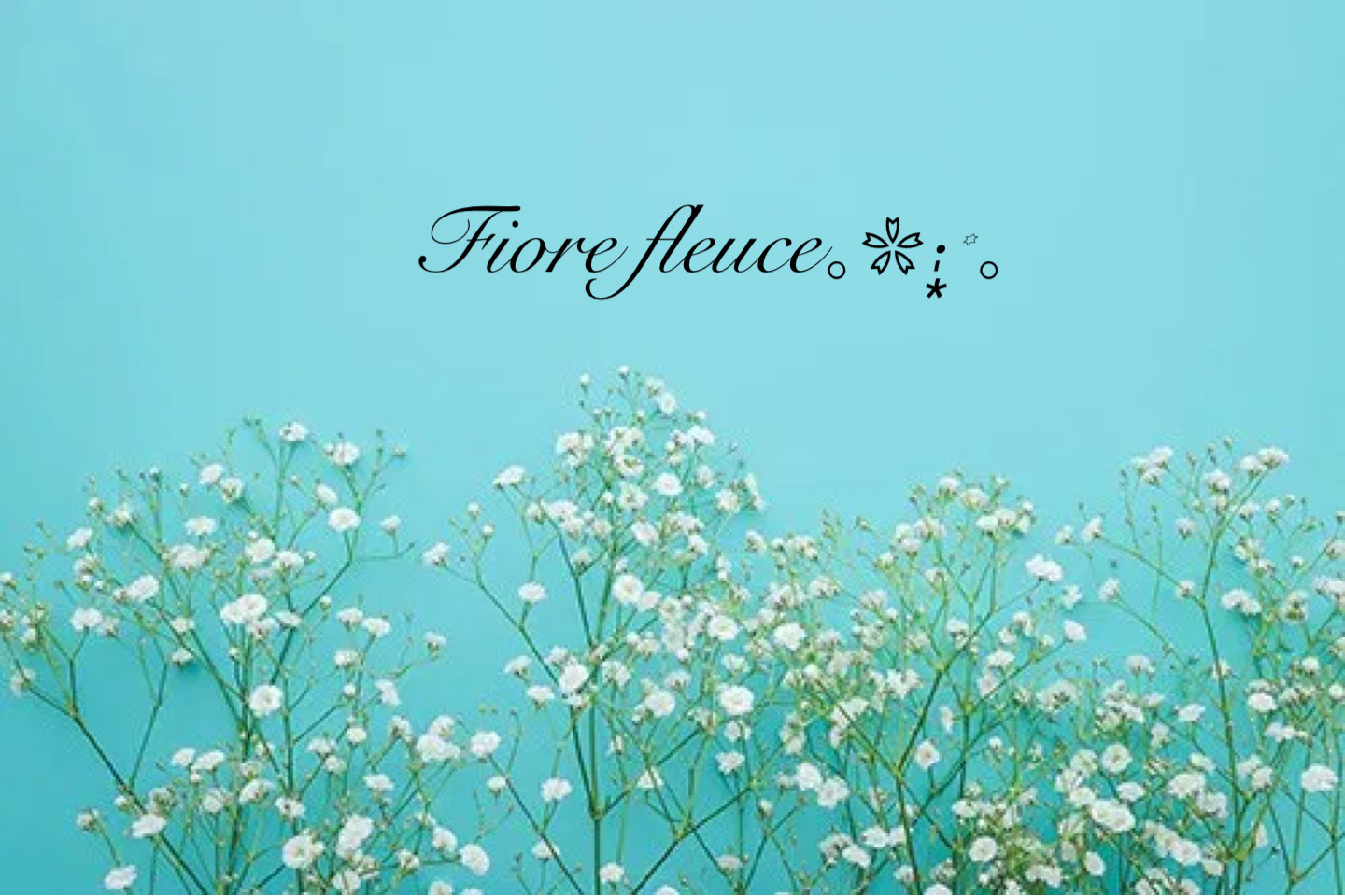 Fiore fleuce｡❀·̩͙꙳｡