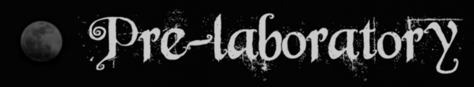 Pre-laboratory WEB SHOP