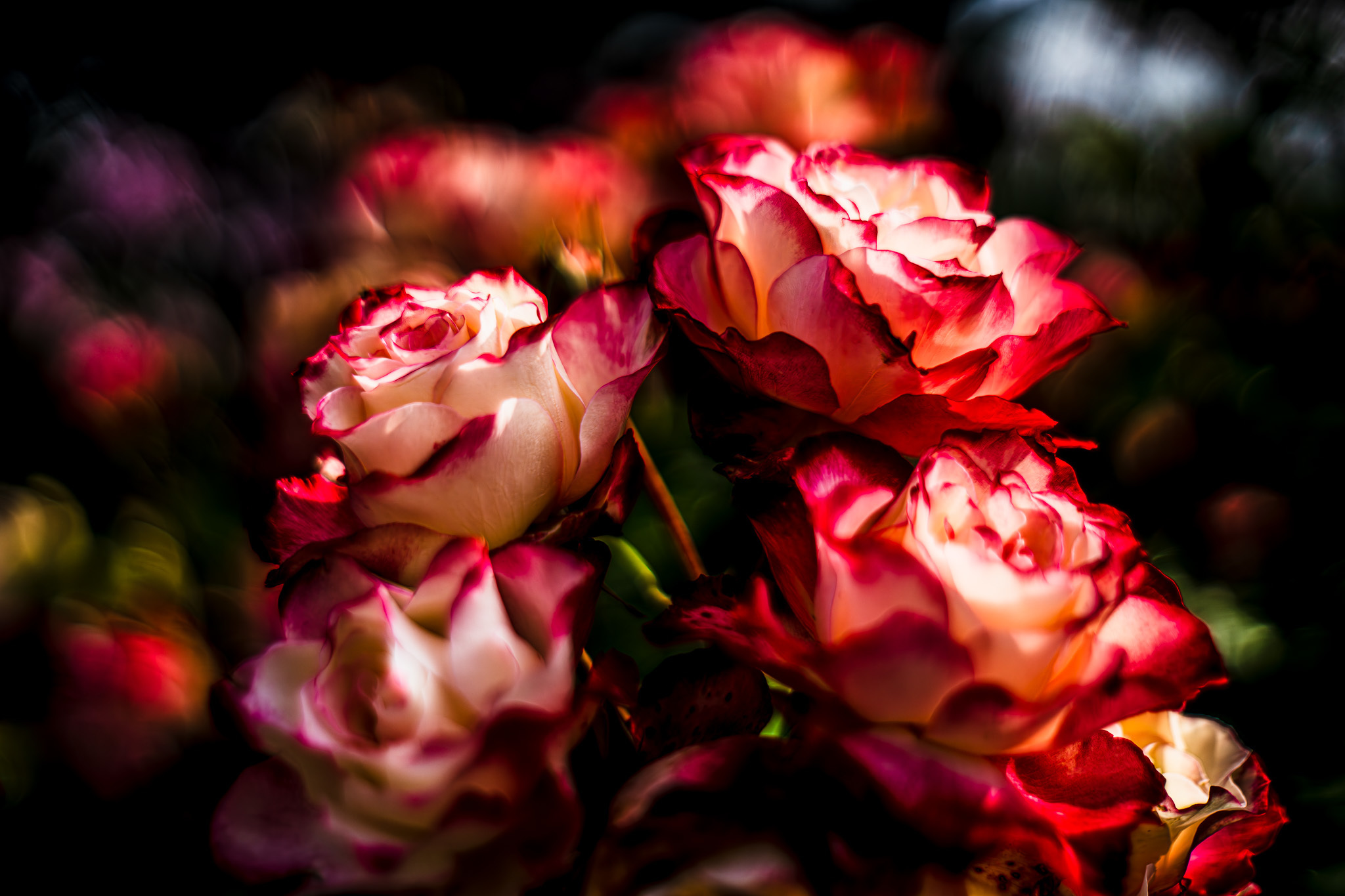 Fragments by w_t_poohsan