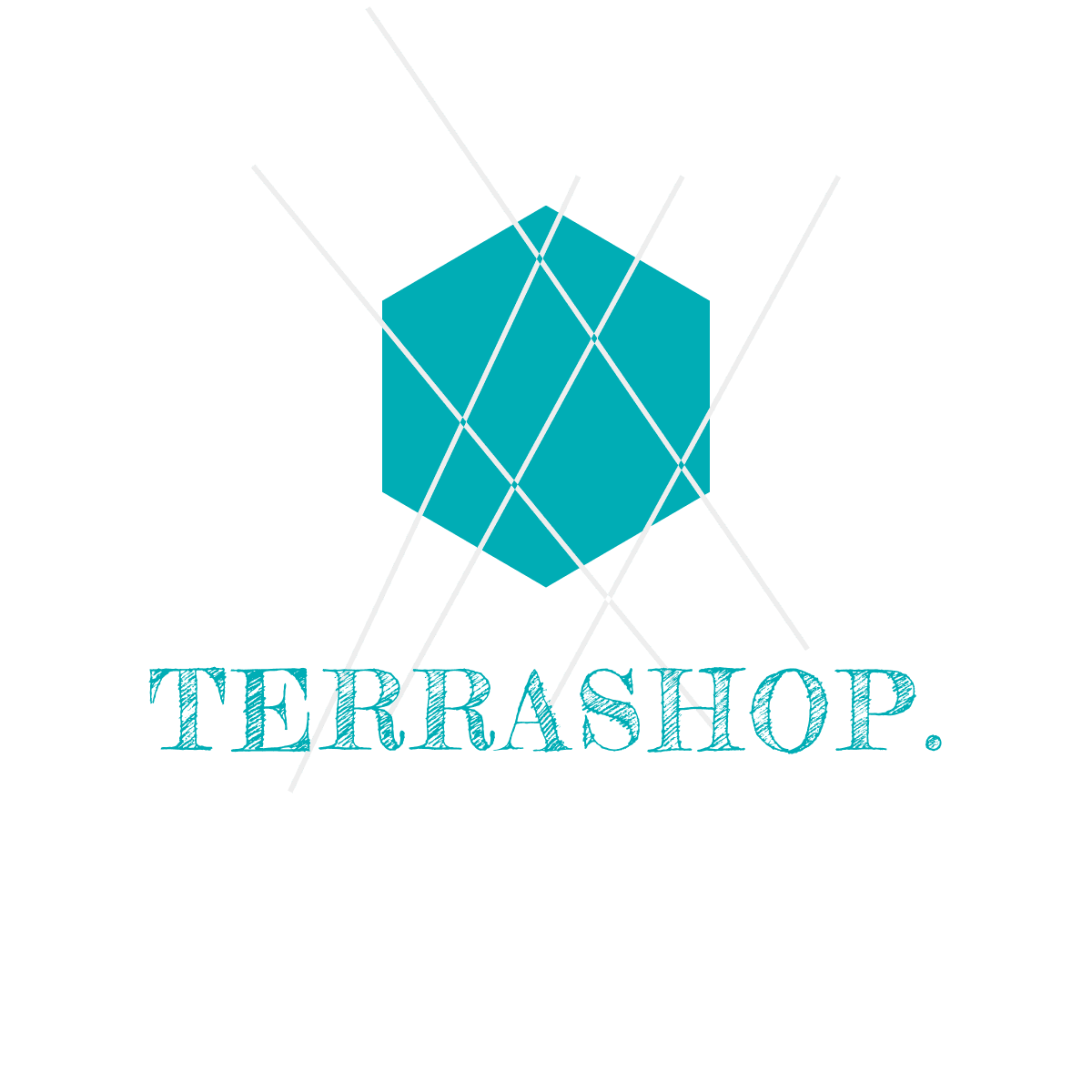 TERRA SHOP.