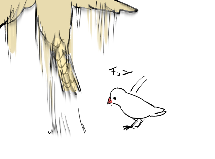 ごとうさん