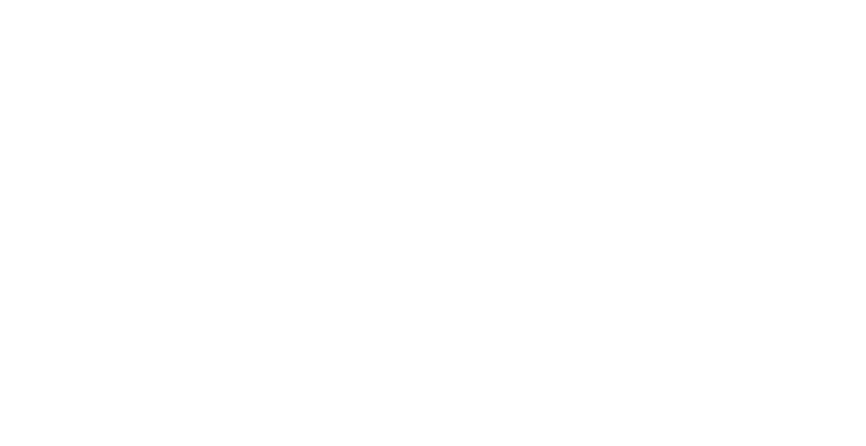 THE DRAGONFLY SHOP