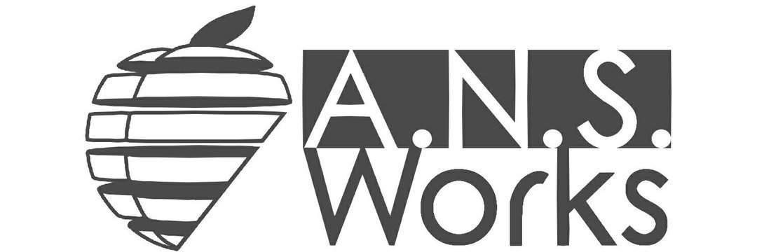 A.N.S.Works