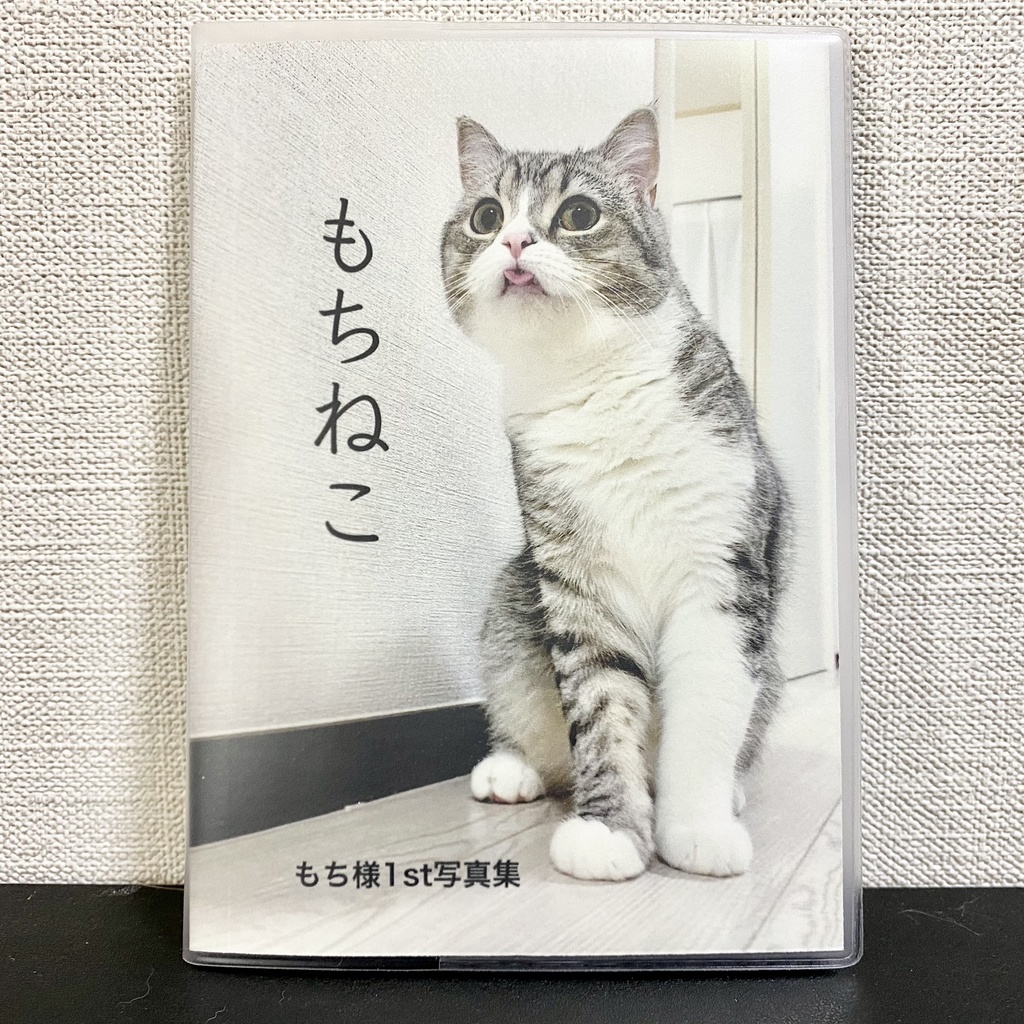 まる 日記 もち