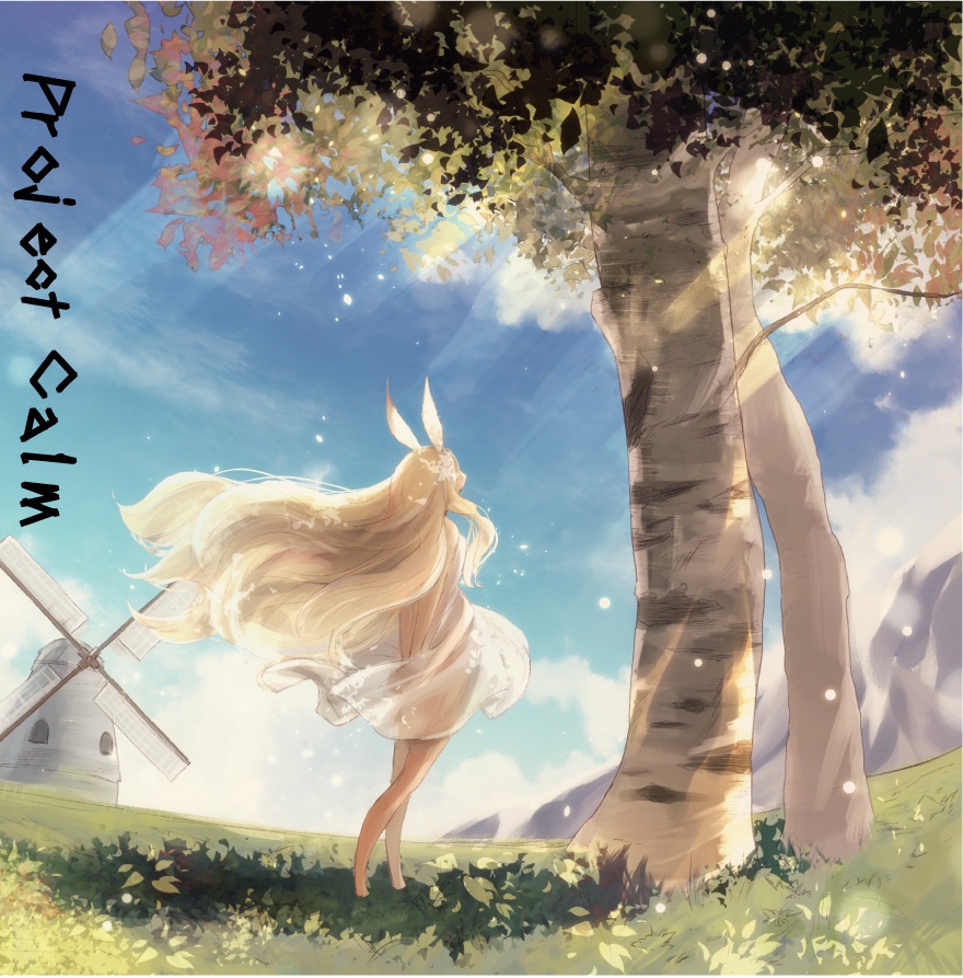 Project Calm