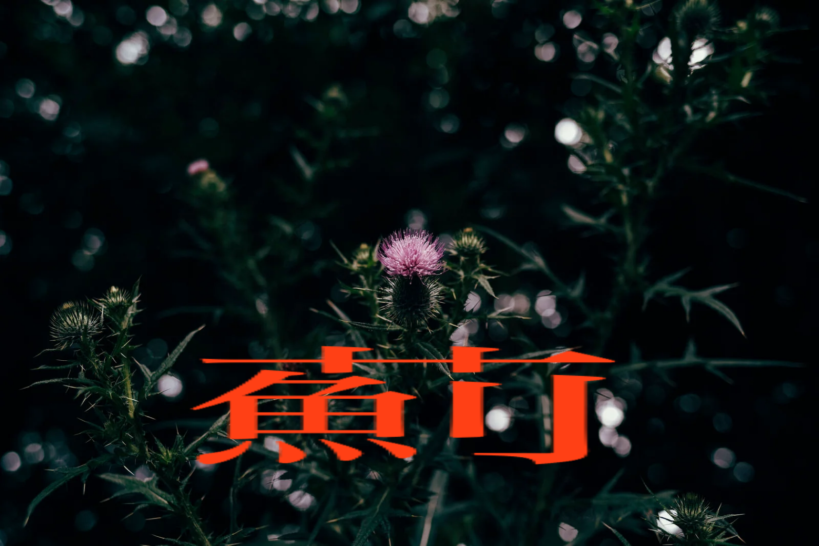 アザミの森