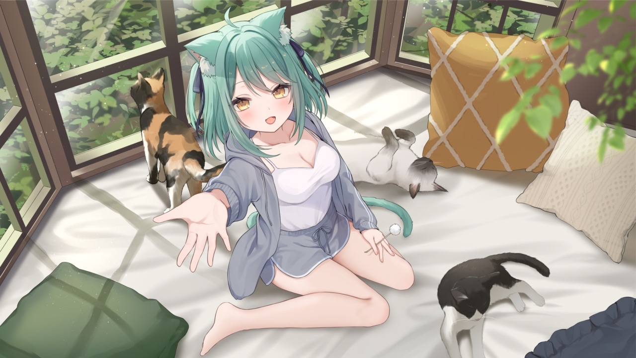 ねこたん沼へようこそ🐱ฅ´-