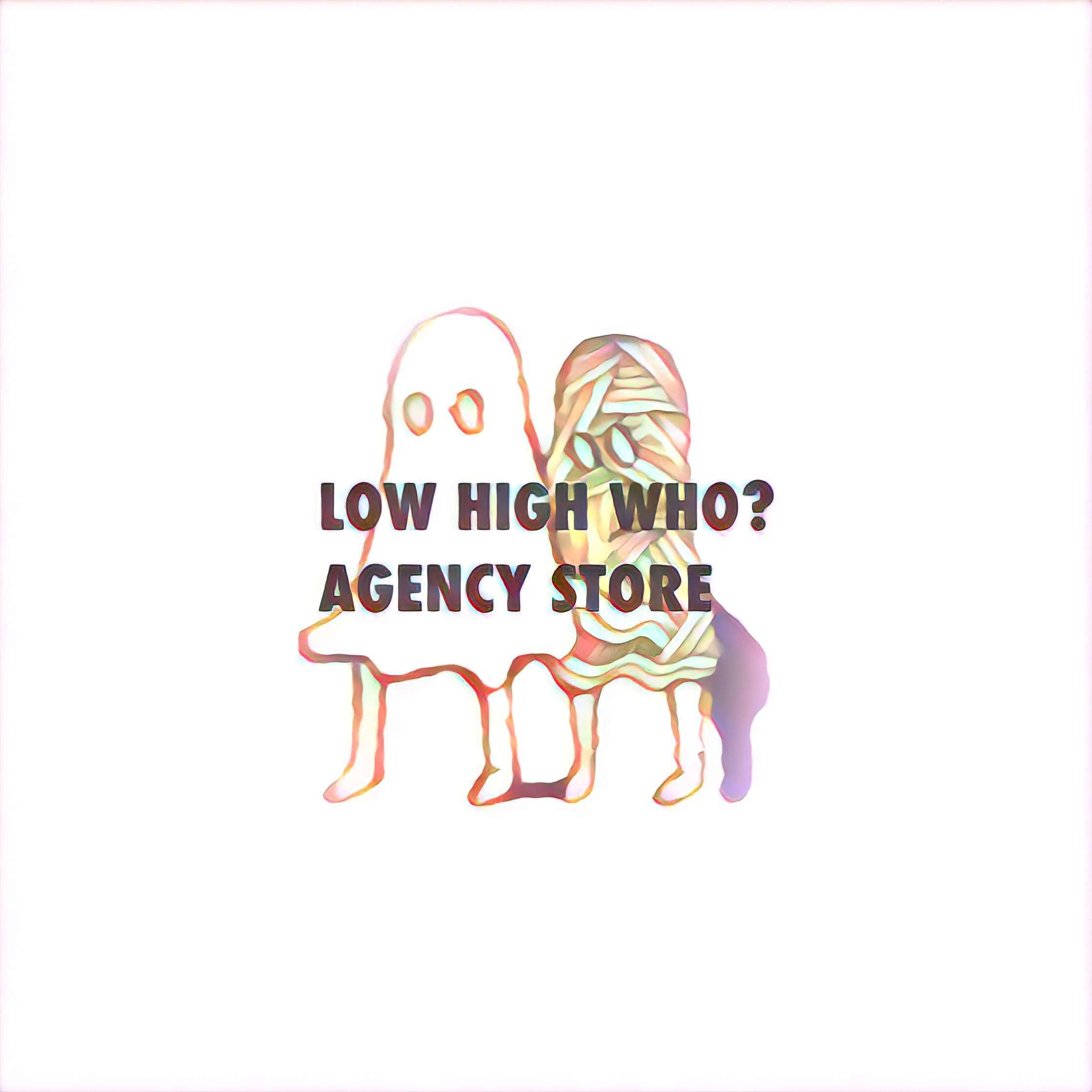 LOW HIGH WHO? AGENCY STORE