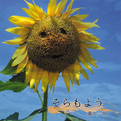 そらもよう