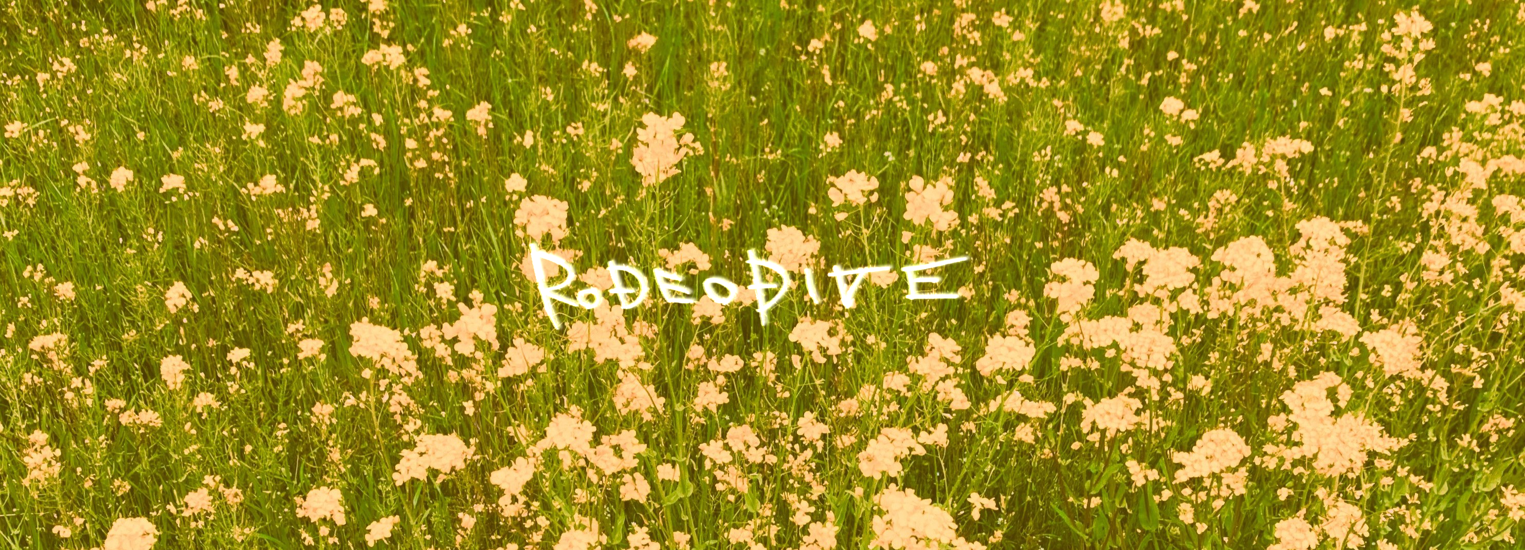 RODEODIVE