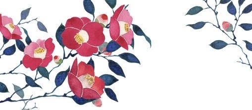 落椿