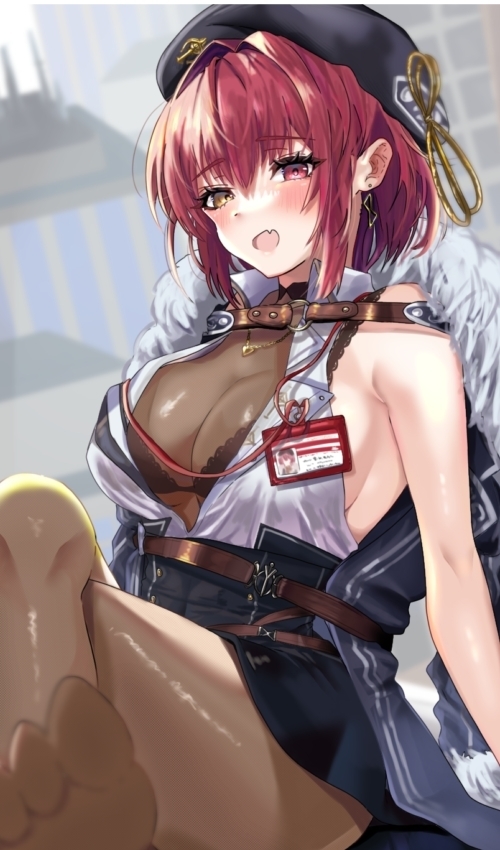 穴掘るにゃんこ堂