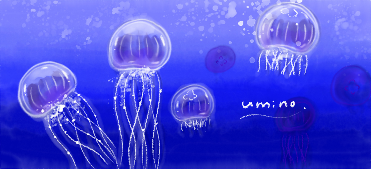 海のかけら -uminosea-