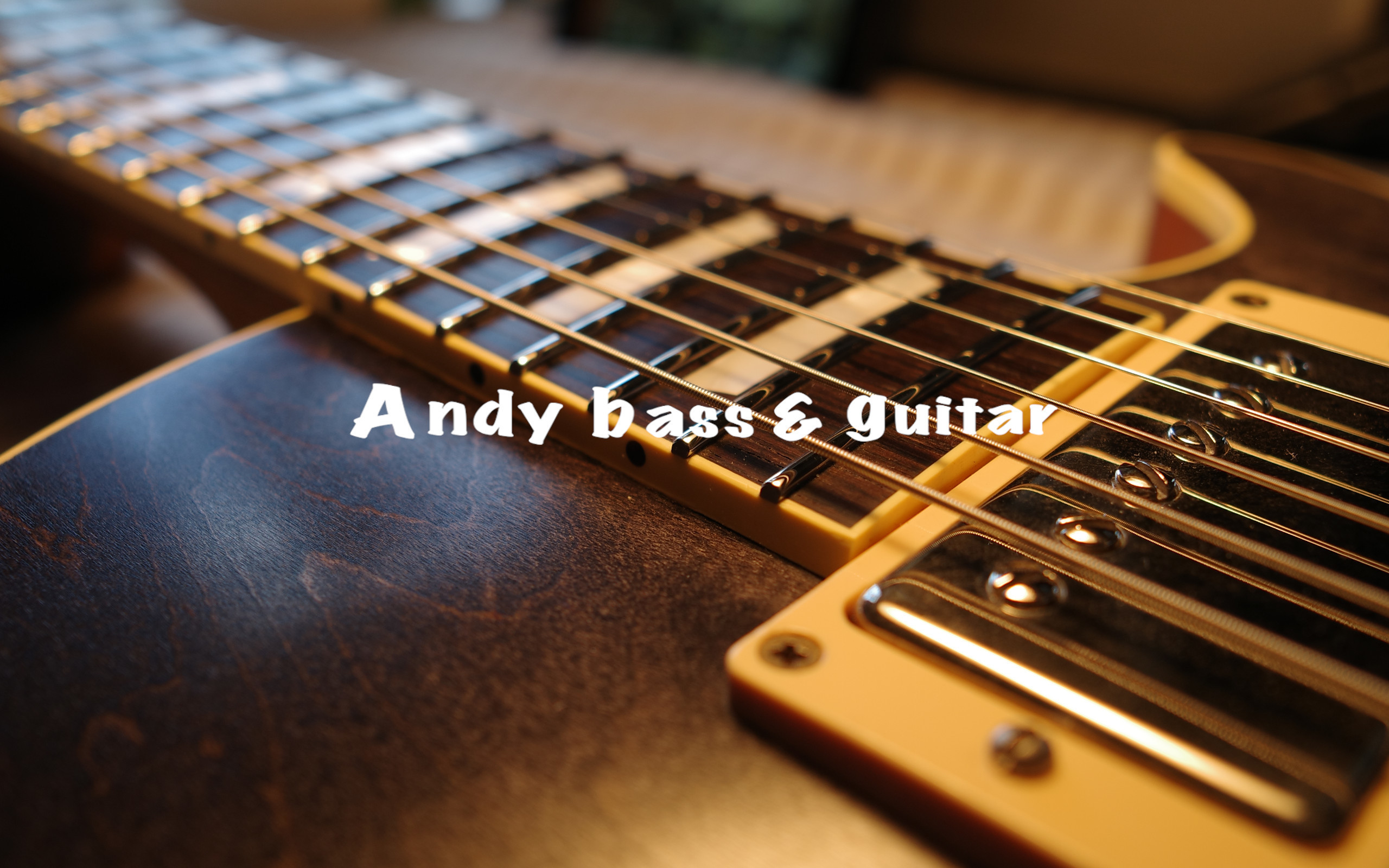 Andy bass&guitar