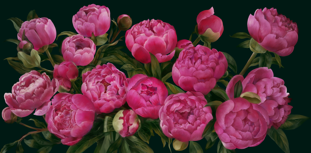 アカシアの記録