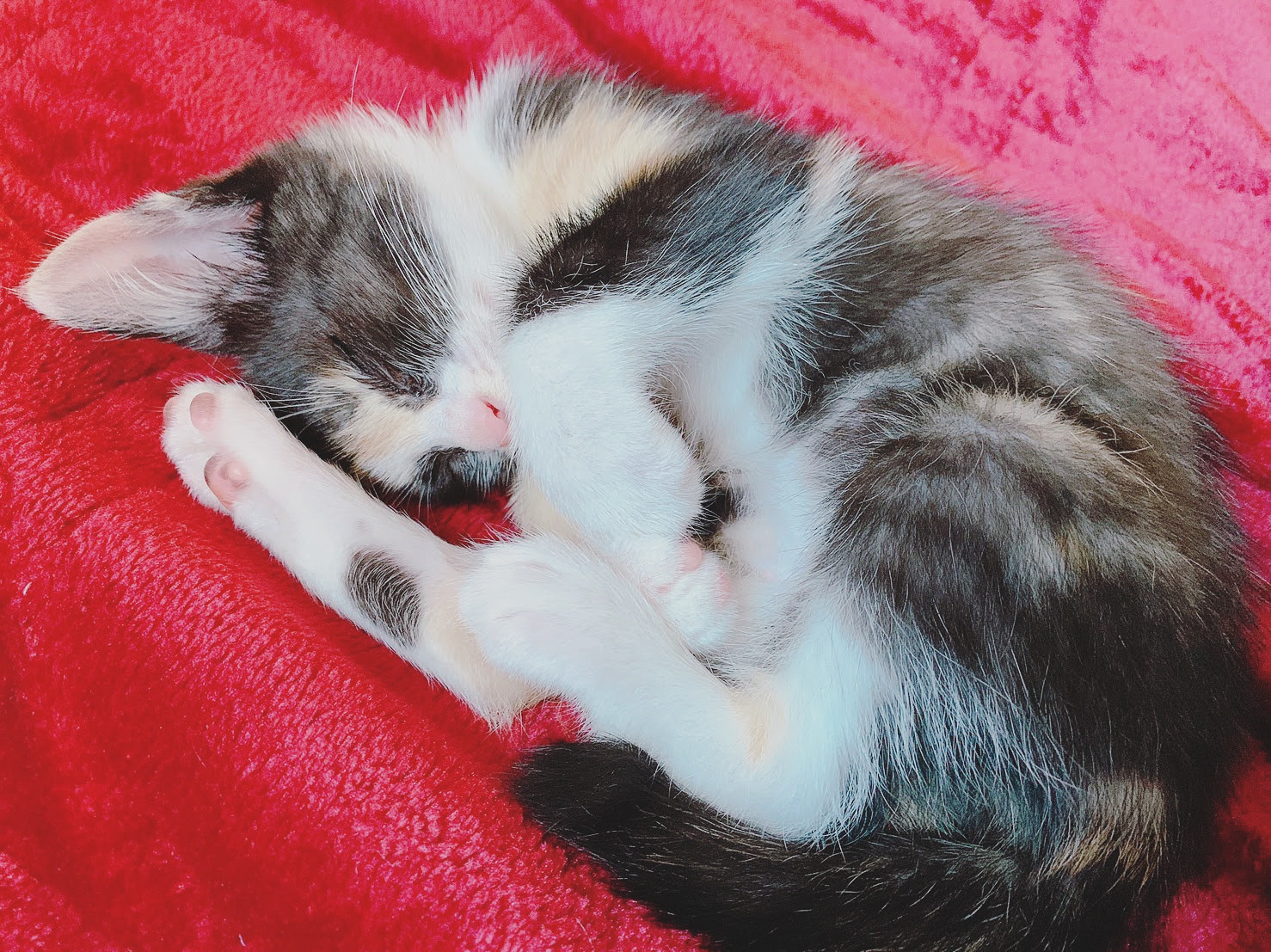 あみ@ハンドメイド