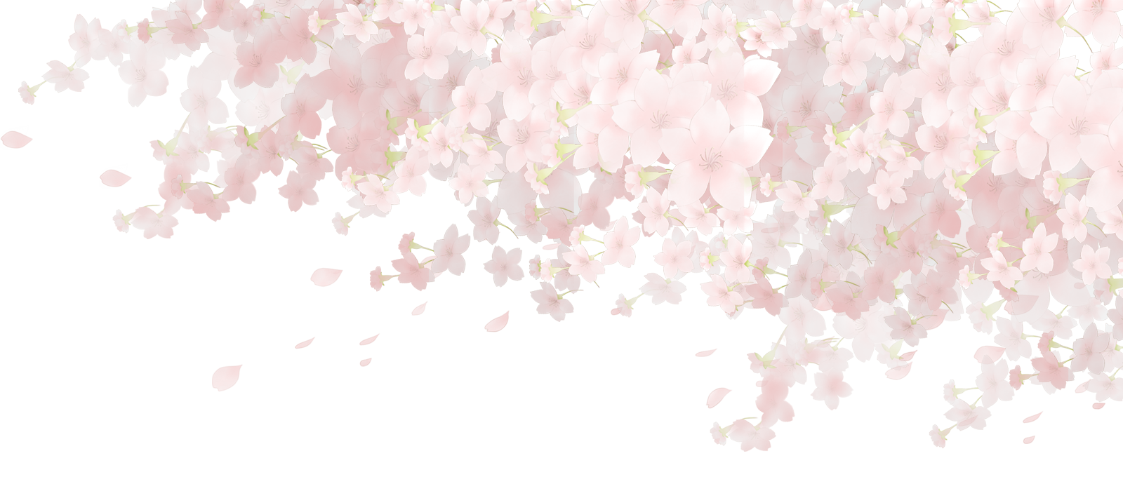 繚乱荘の土産処