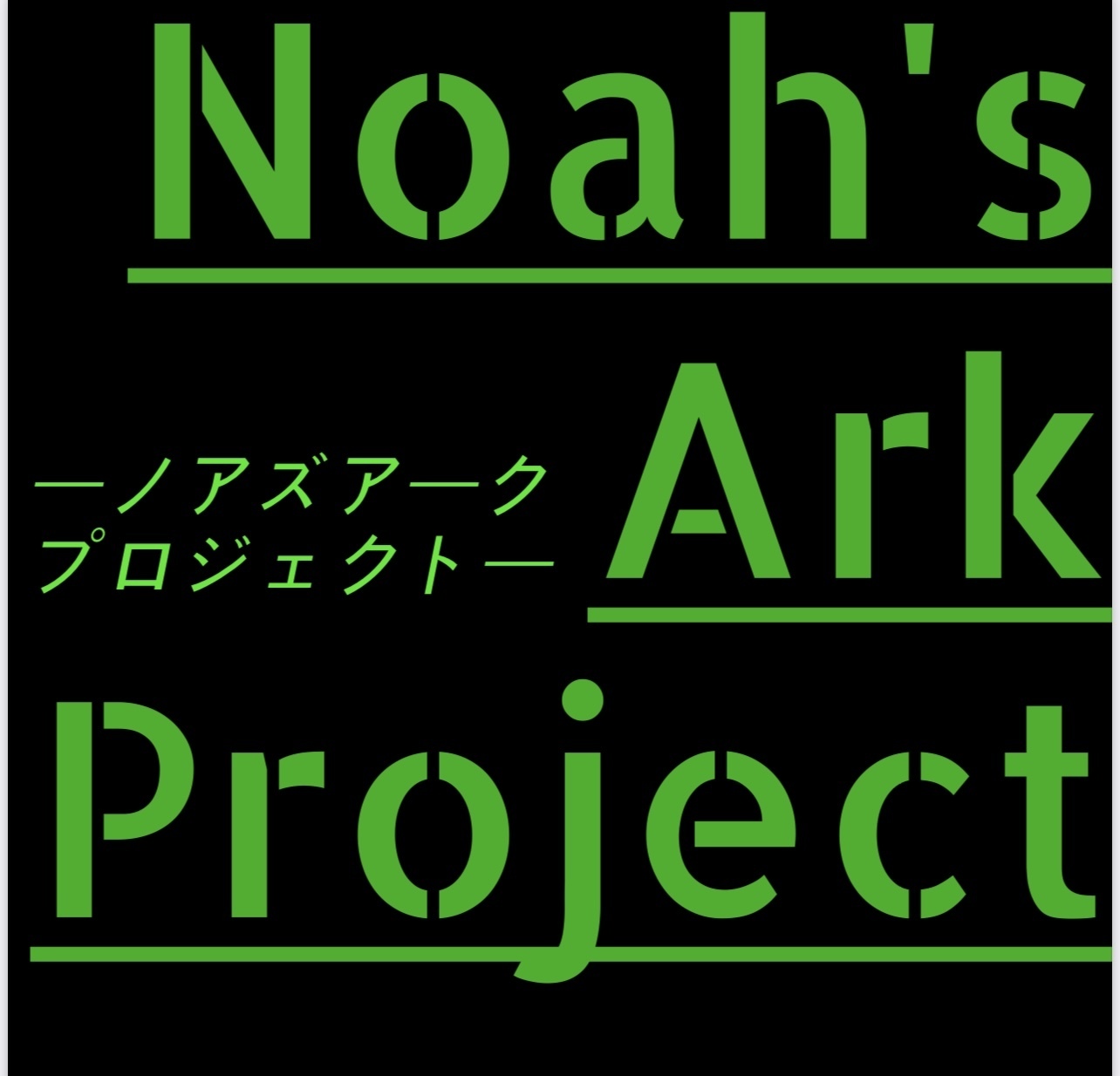 Noah's Ark project
