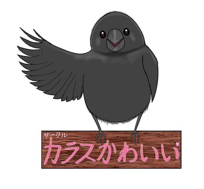 カラスかわいい