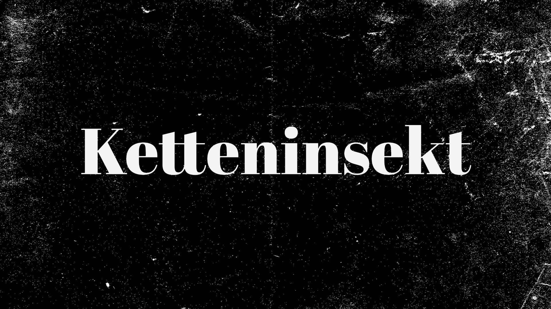 Ketteninsekt