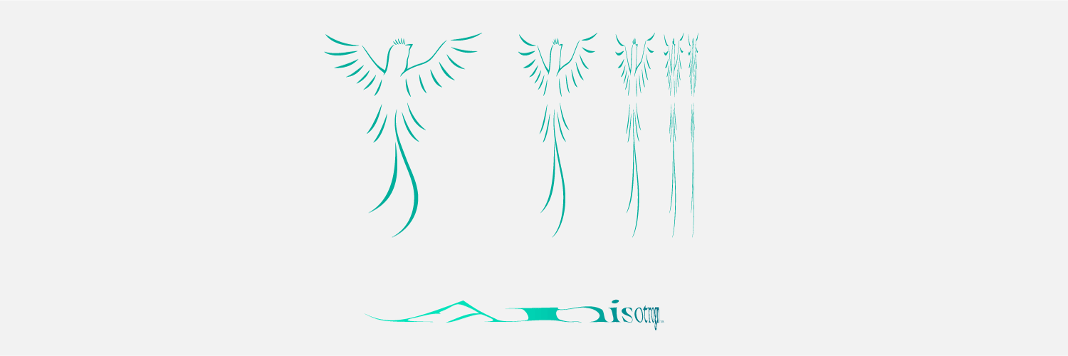 Anisotrogn