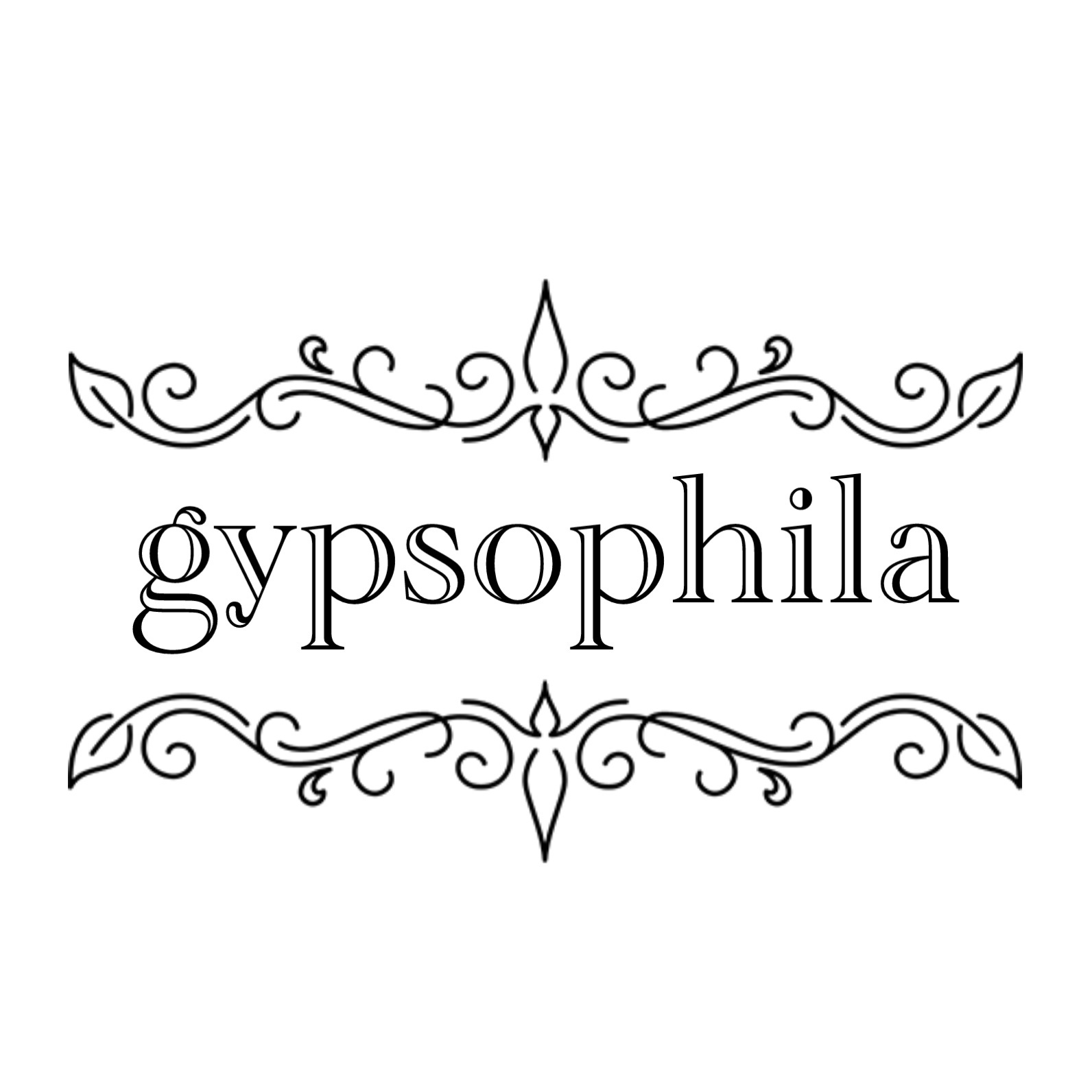 gypsophila