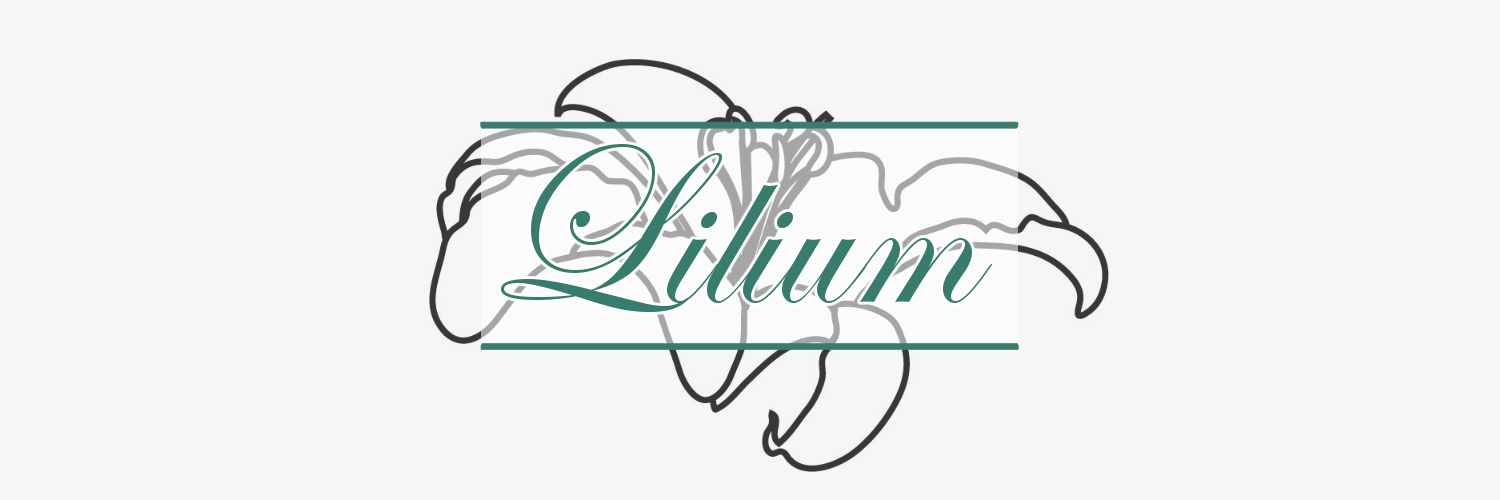 Lilium