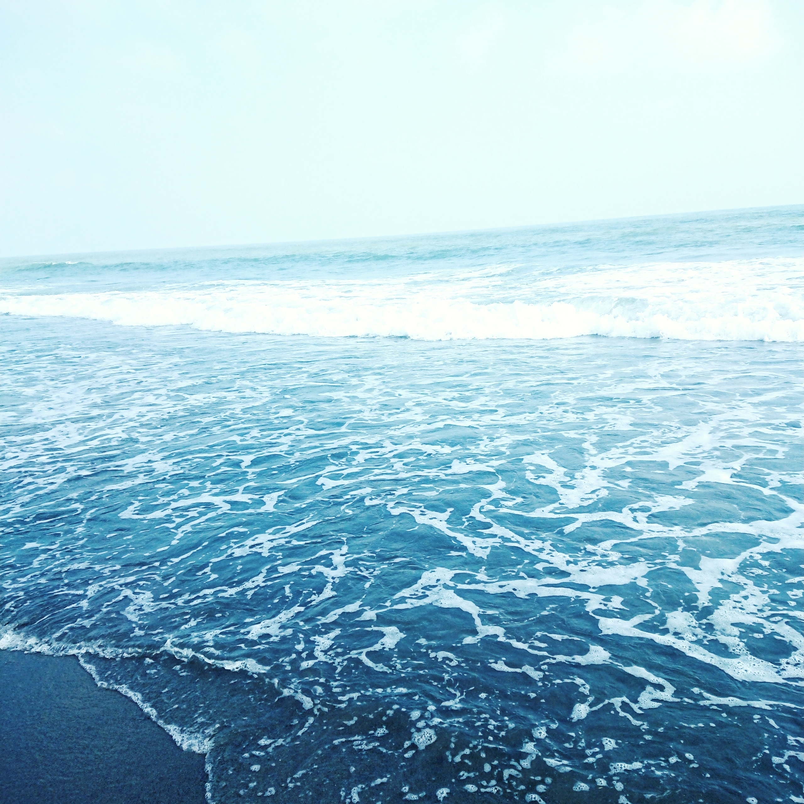 海とはきだめ