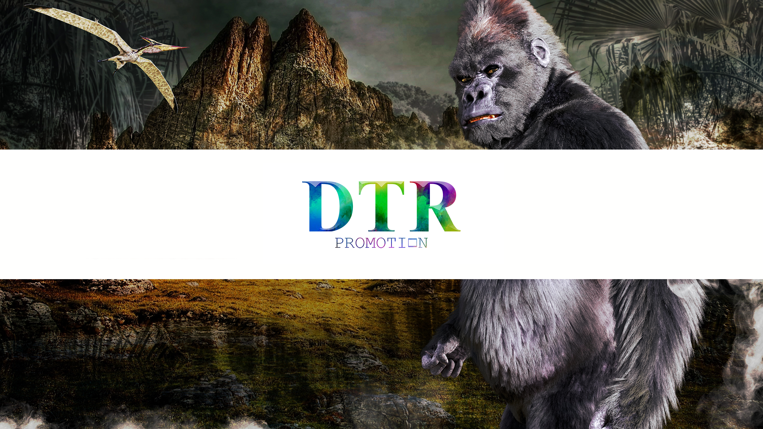 DTR PROMOTION