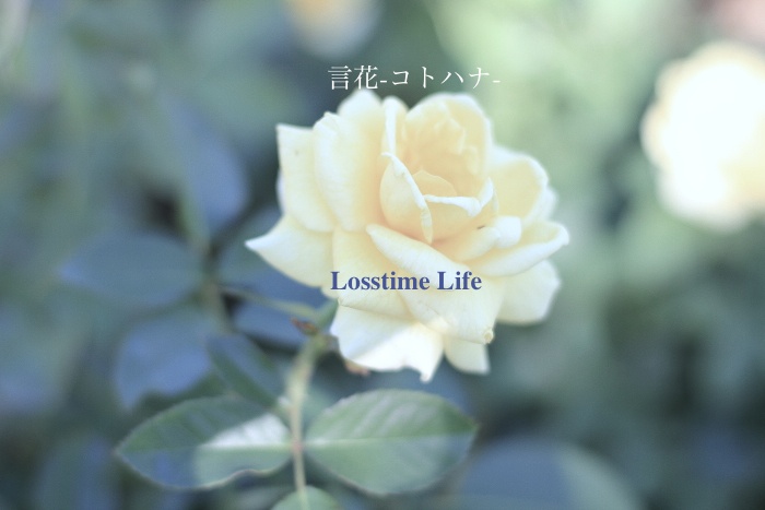 言花-コトハナ-