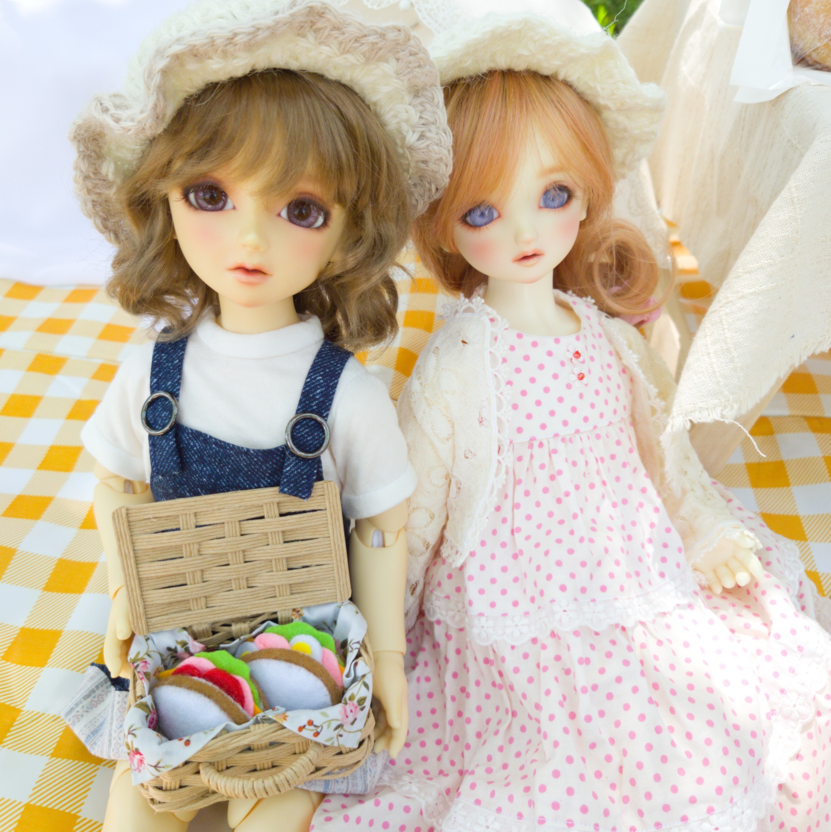 ラグドールのお茶会