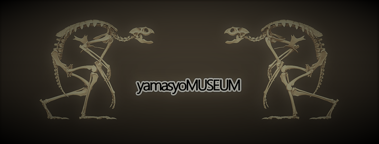 yamasyoMUSEUM