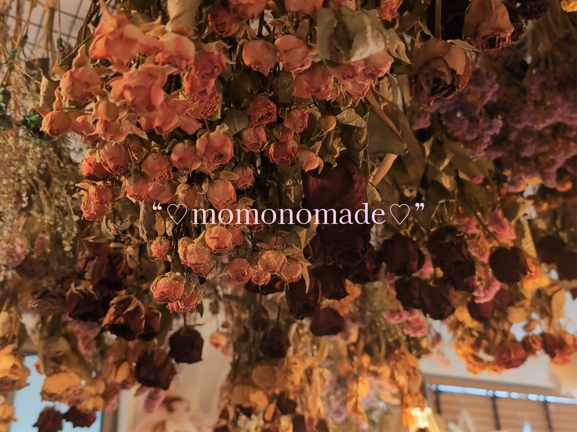 momonomade