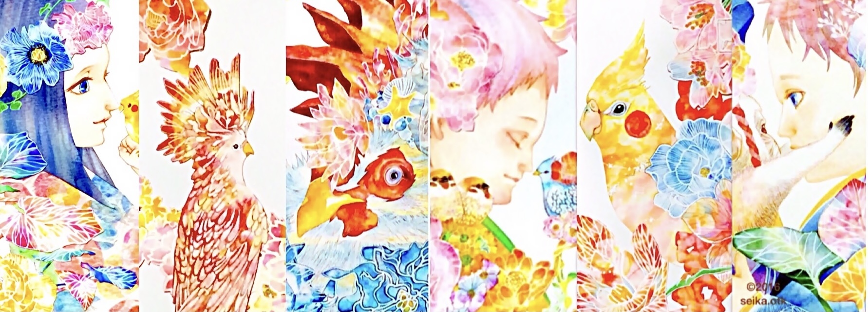 watagashi sp