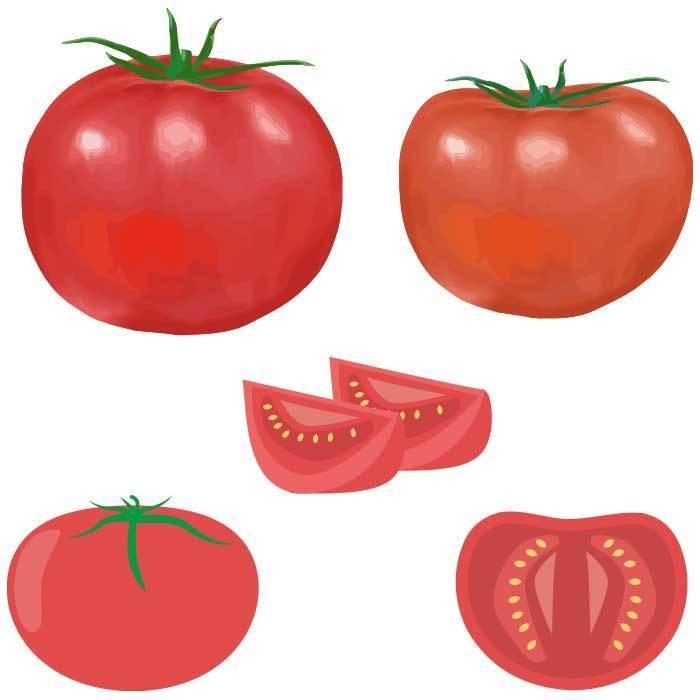 トマトのベクターイラストセット Chicodeza Pixiv Booth Booth