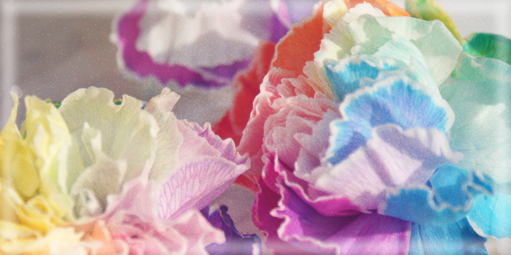 花霞ノ夢／残霞