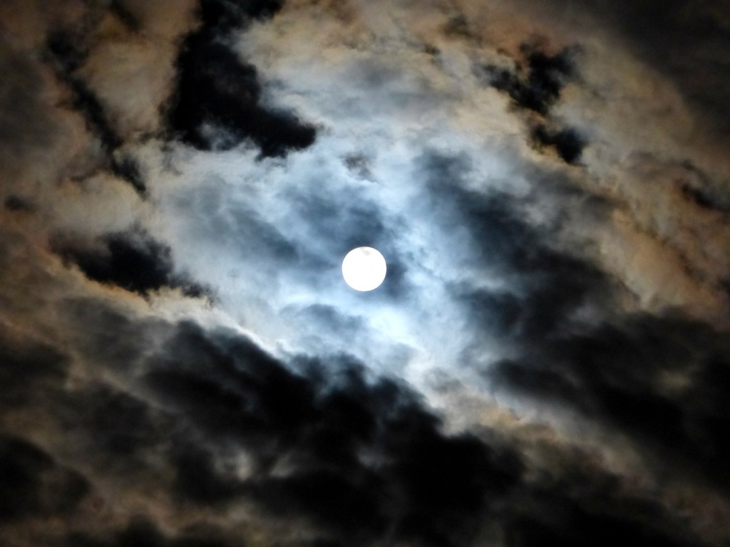 【幻のボカロデビュー曲】月の光よ【動画付き】