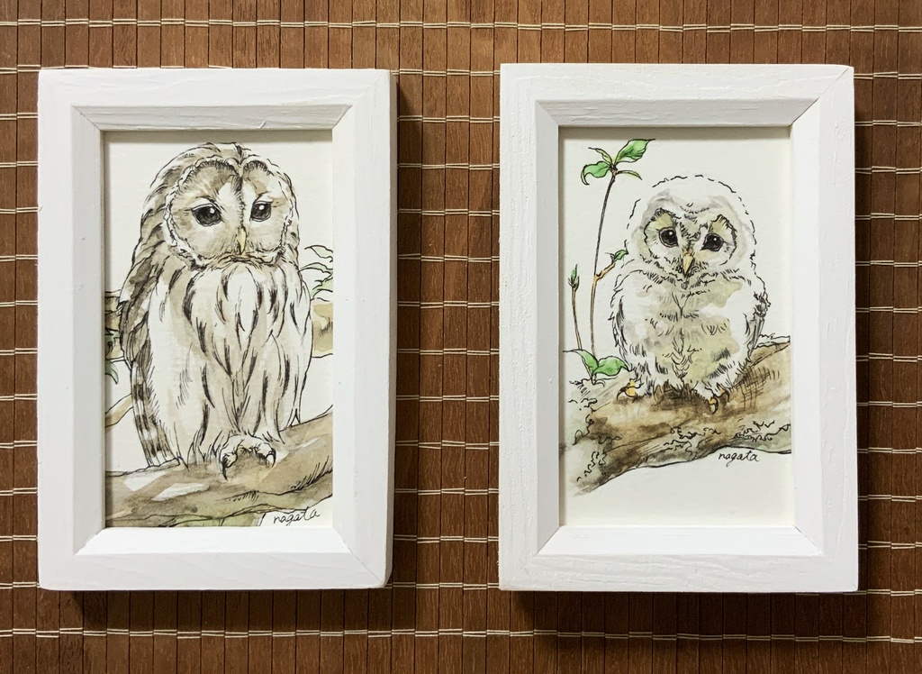 フクロウ原画 2枚セット フクロウまみれ ふくるる Booth