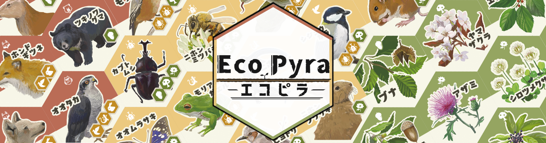 EcoPyra－エコピラ－