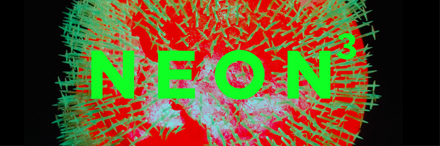 NEON³