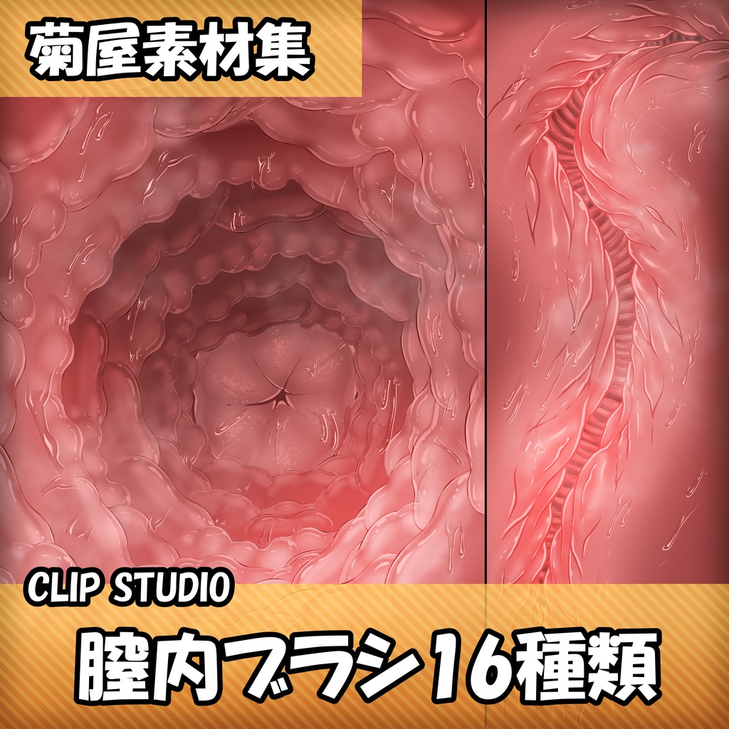 菊屋素材集 Clip Studio 膣内ブラシ Kick Tyan Booth