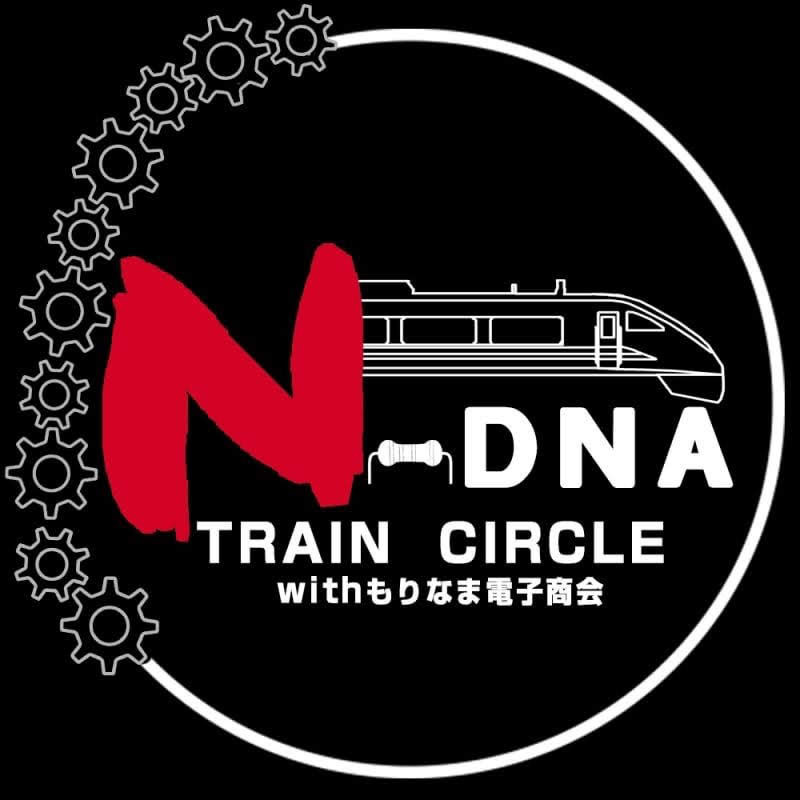N-DNA