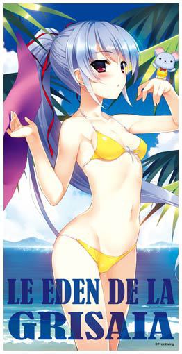 一姫ビッグバスタオル