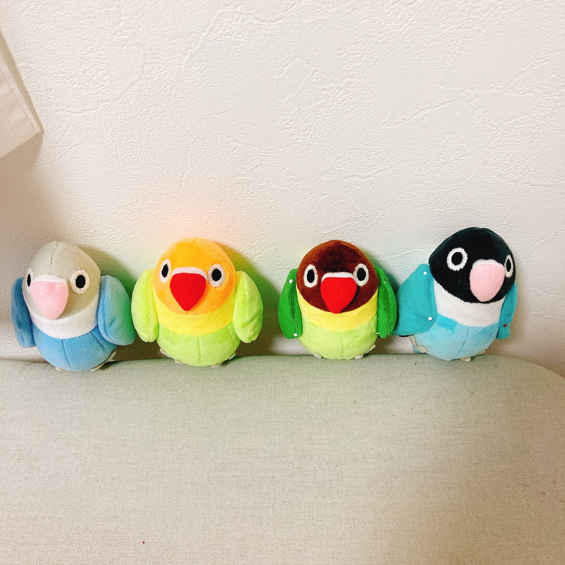 ボタンインコ最高！