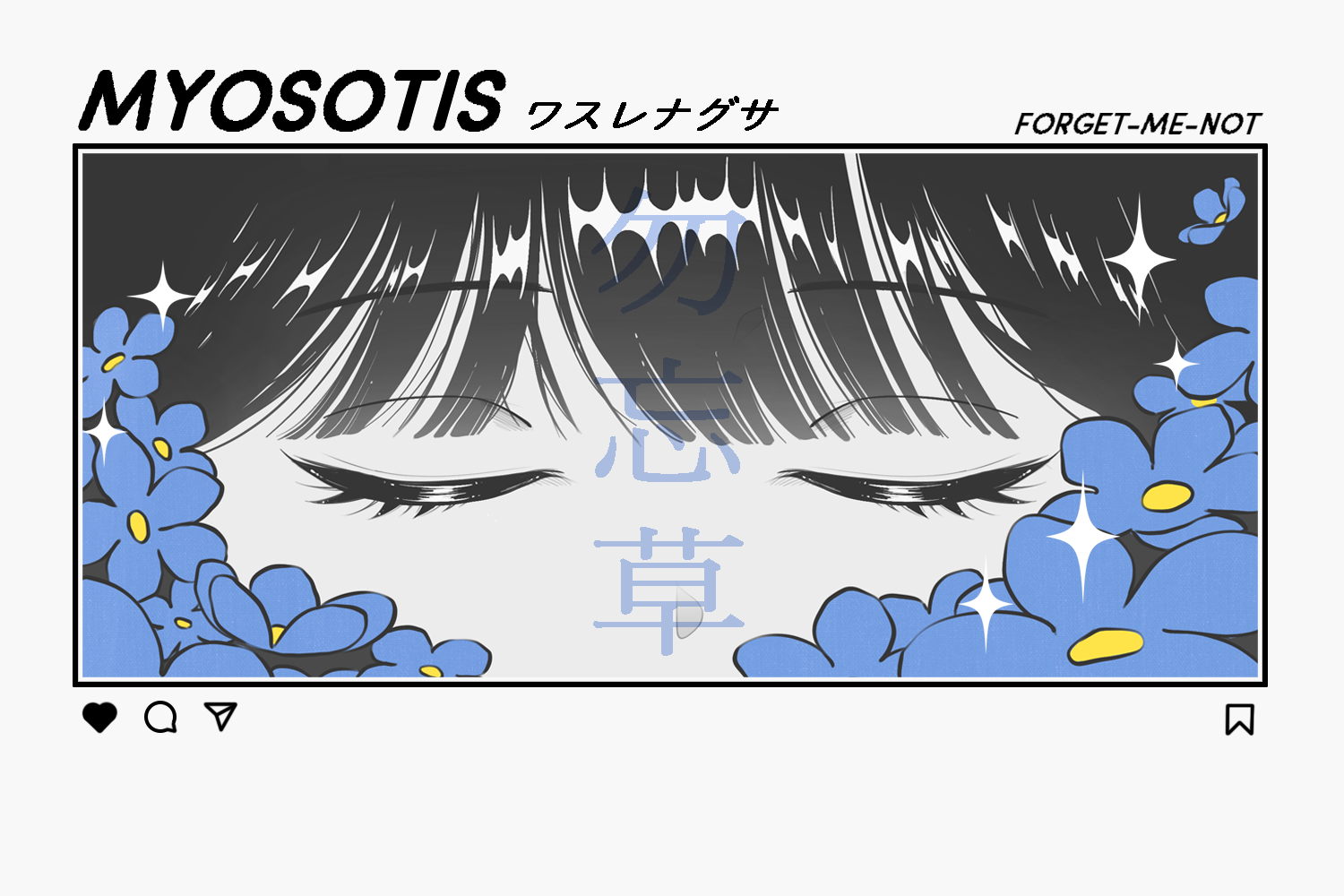 Myosotis