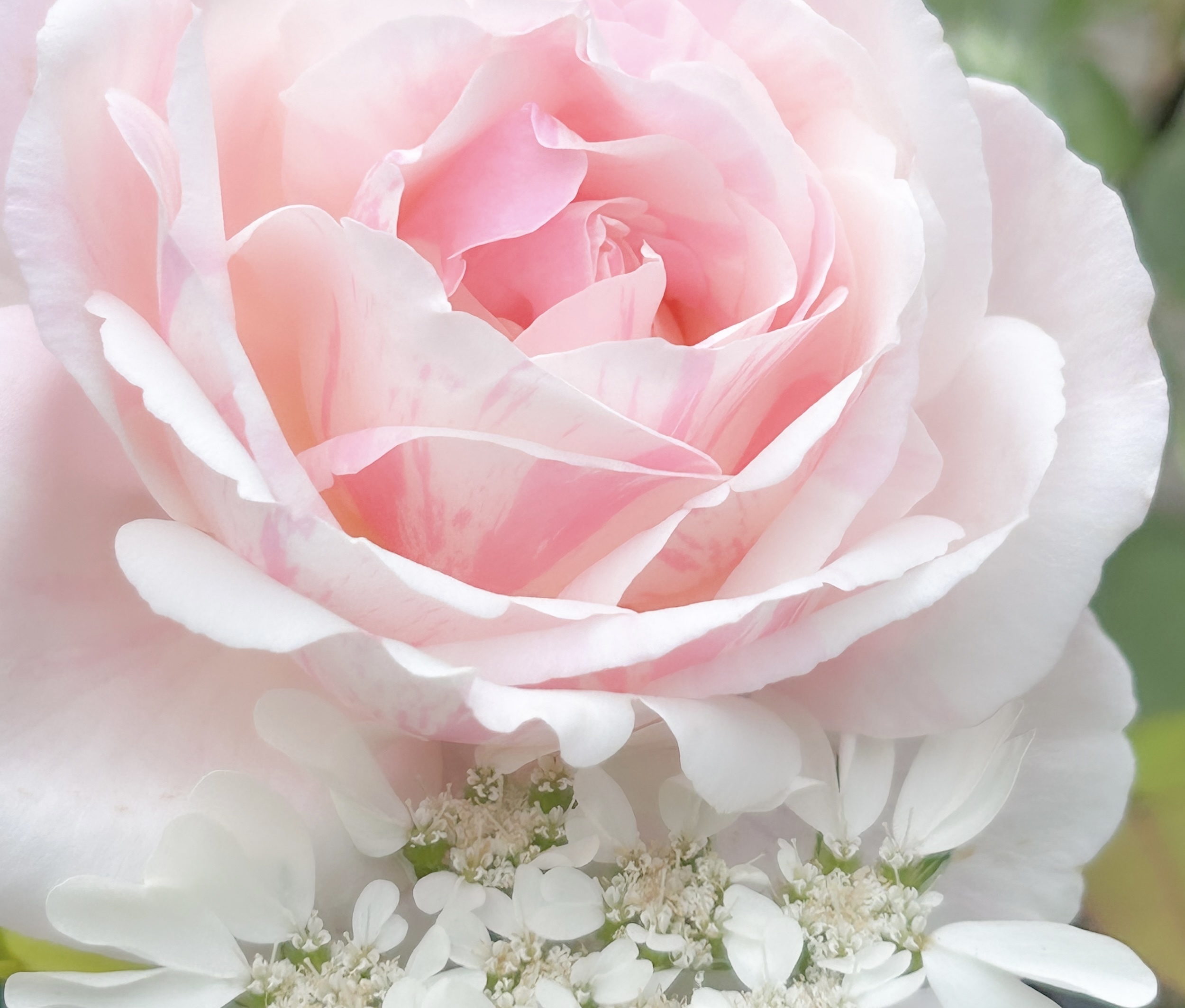 るりのてしごと