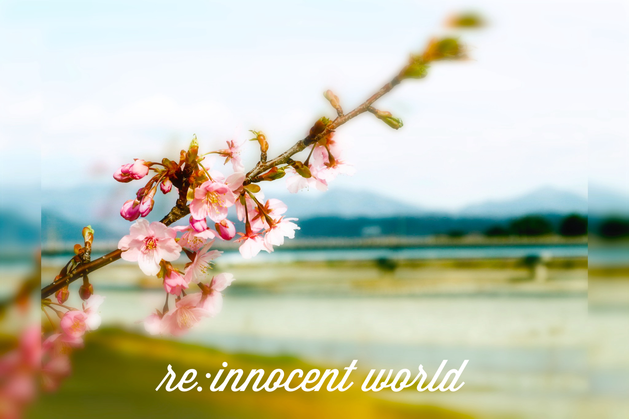 re：innocent world