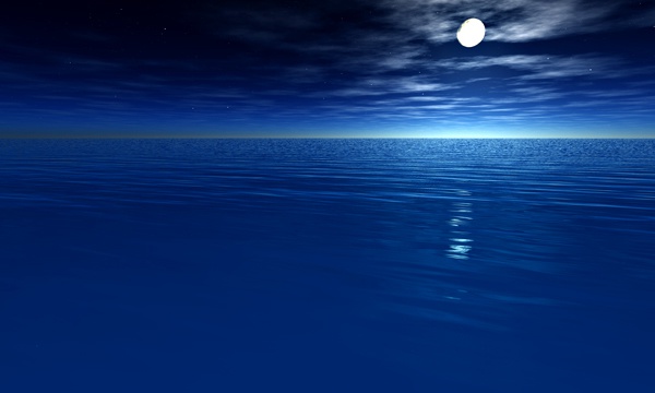 海 No31