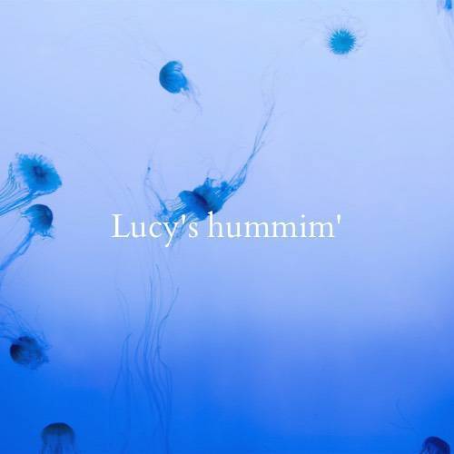 Lucy's hummin'