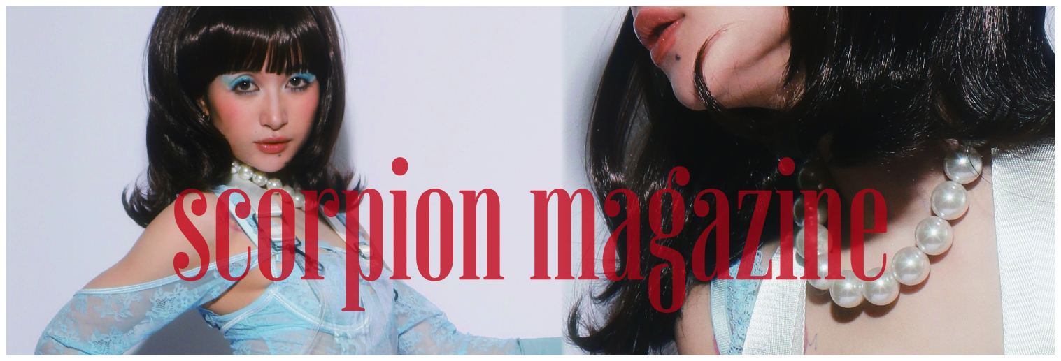 scorpion magazine